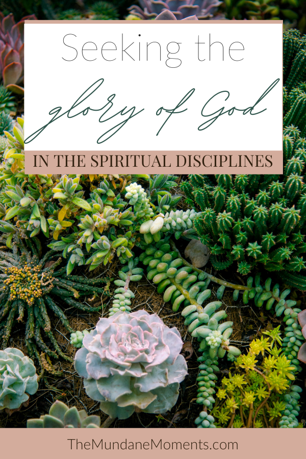 New Years resolutions and learning to seek the glory of God in the spiritual disciplines