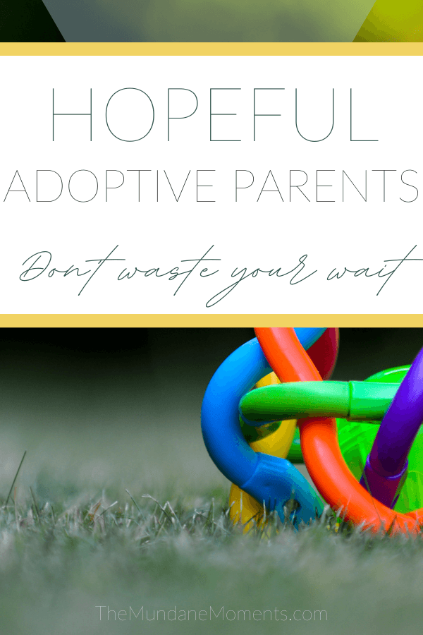 Don't waste your wait: A book for hopeful adoptive parents