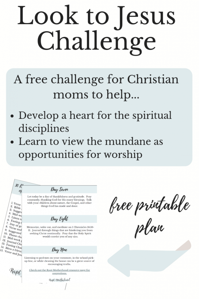 Take the 30 Day Look to Jesus Challenge for Christian moms and learn simple, practical ways to develop a heart for the spiritual disciplines and view the mundane as opportunities for worship. Such a great way to help keep your eyes on Jesus. #lookToJesusChallenge #raptmotherhood