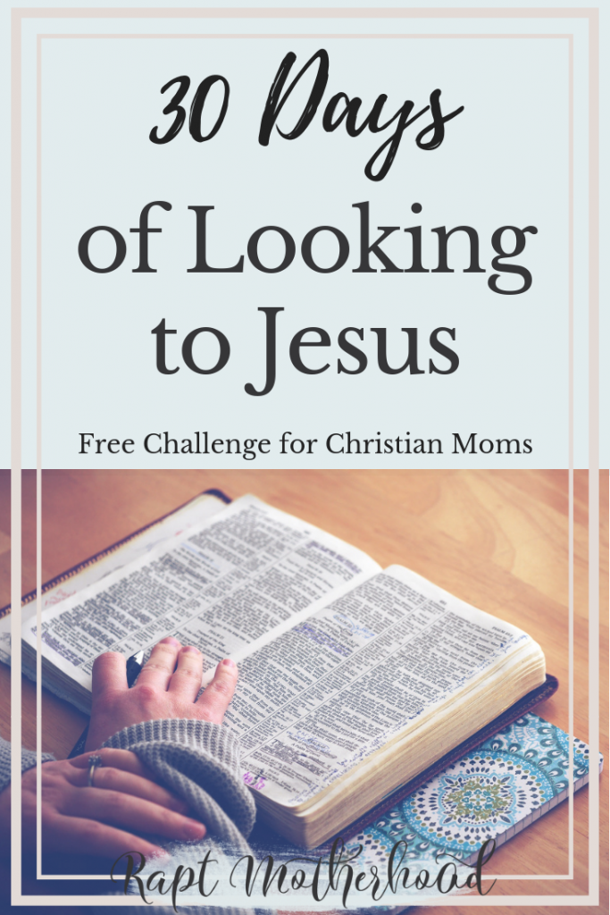 30 Days of Looking to Jesus is a FREE printable challenge that helps Christian moms develop a heart for the spiritual disciplines and learn to view the mundane as acts of worship. Simple, actionable steps for busy moms who need some practical encouragement #looktoJesus #looktoJesuschallenge #Christianmotherhood #spiritualdisciplines